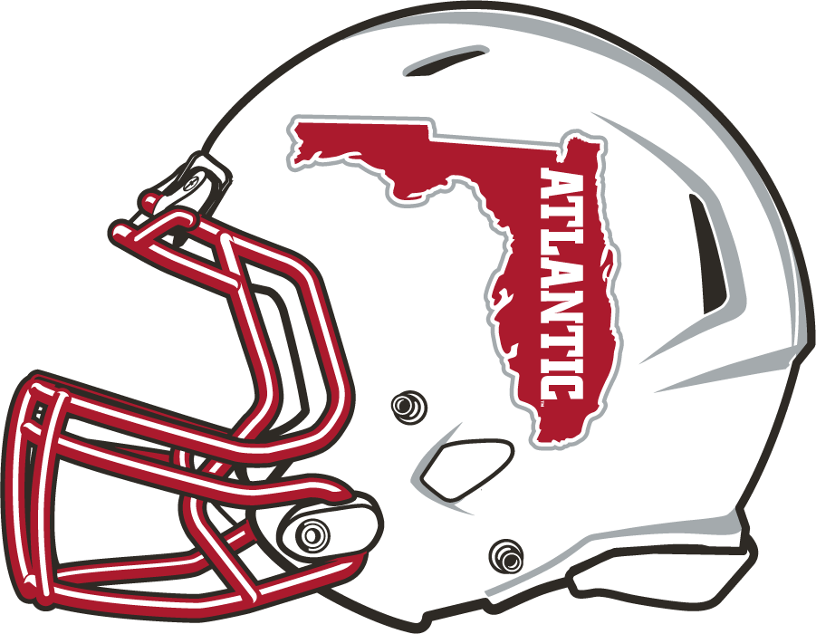 Florida Atlantic Owls 2015-2017 Helmet Logo v2 DIY iron on transfer (heat transfer)